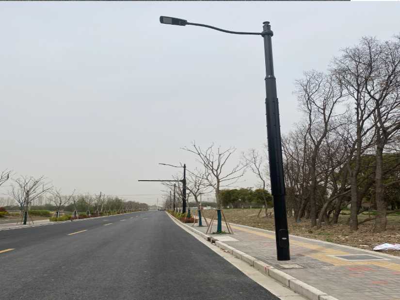白碱滩区上海综合杆 太阳能路灯工程